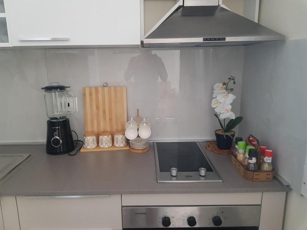 a kitchen counter with a sink and a blender at Cozy apartment Lalez in Shetaj