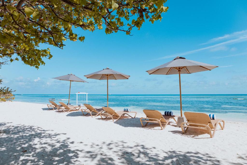 a group of chairs and umbrellas on a beach at Cocomo Maldives in Himmafushi