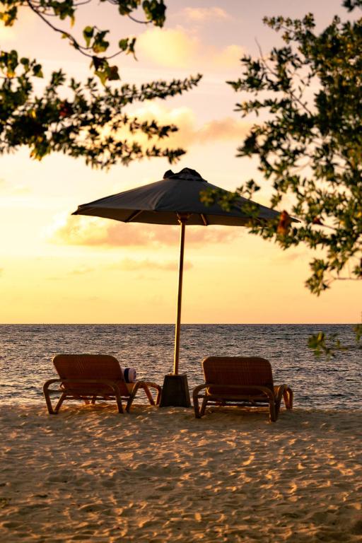 Cocomo Maldives - View 17