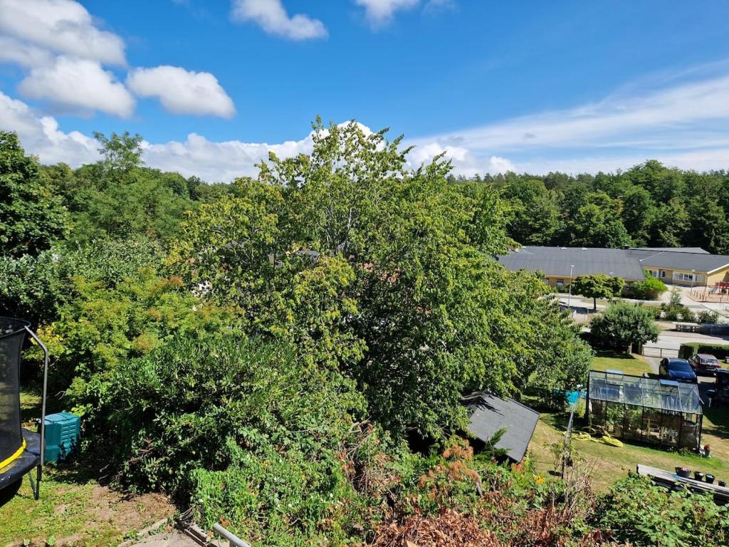an overhead view of a park with a tree at M & M home in Karlshamn