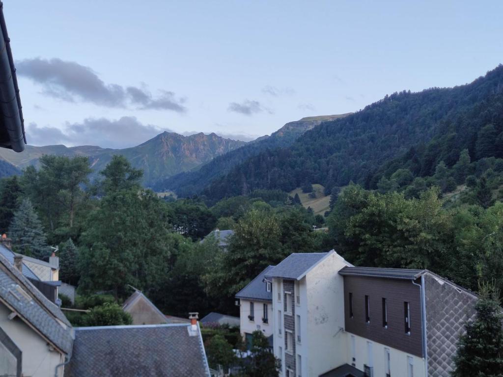 Appartement avec vue sur le Sancy, parking gratuit - Housity