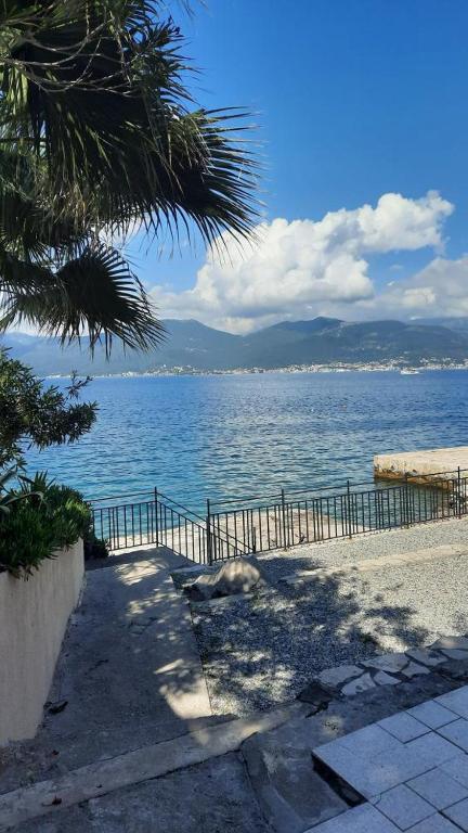 a body of water with a fence and a palm tree at Studio apartman Monte 2 in Tivat