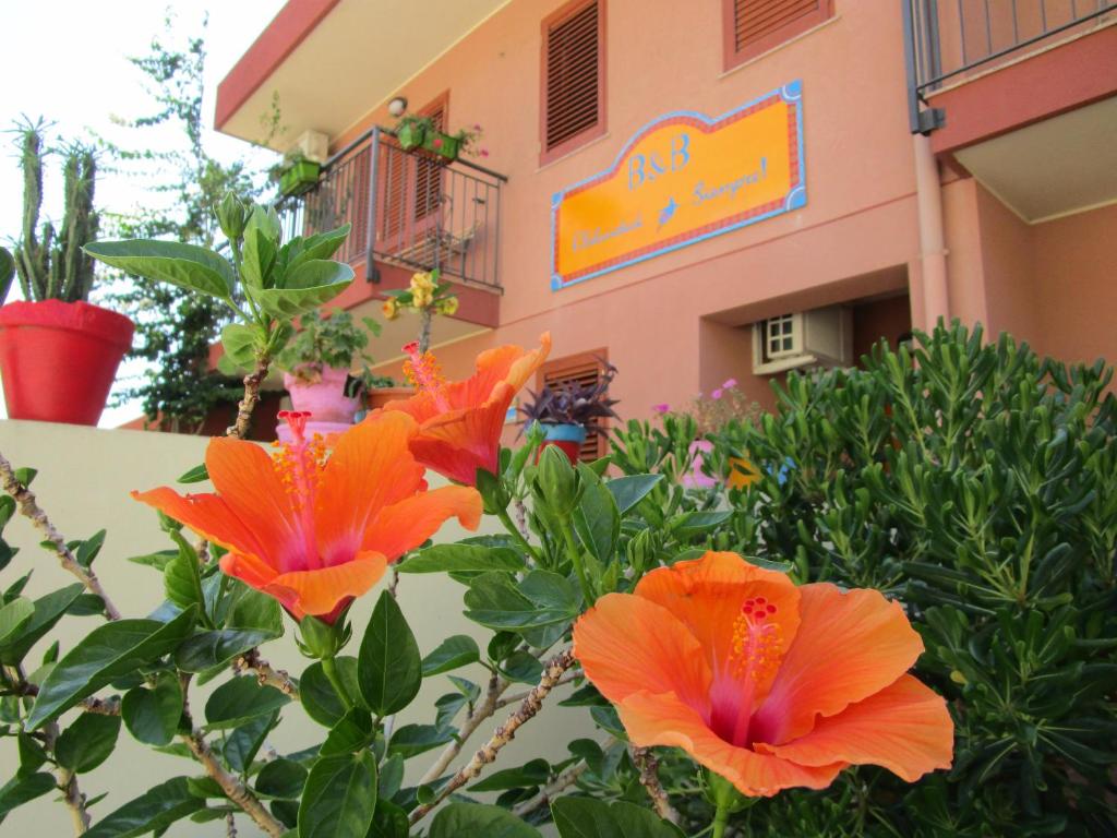 Zahrada ubytování Felicidad Siempre B&B