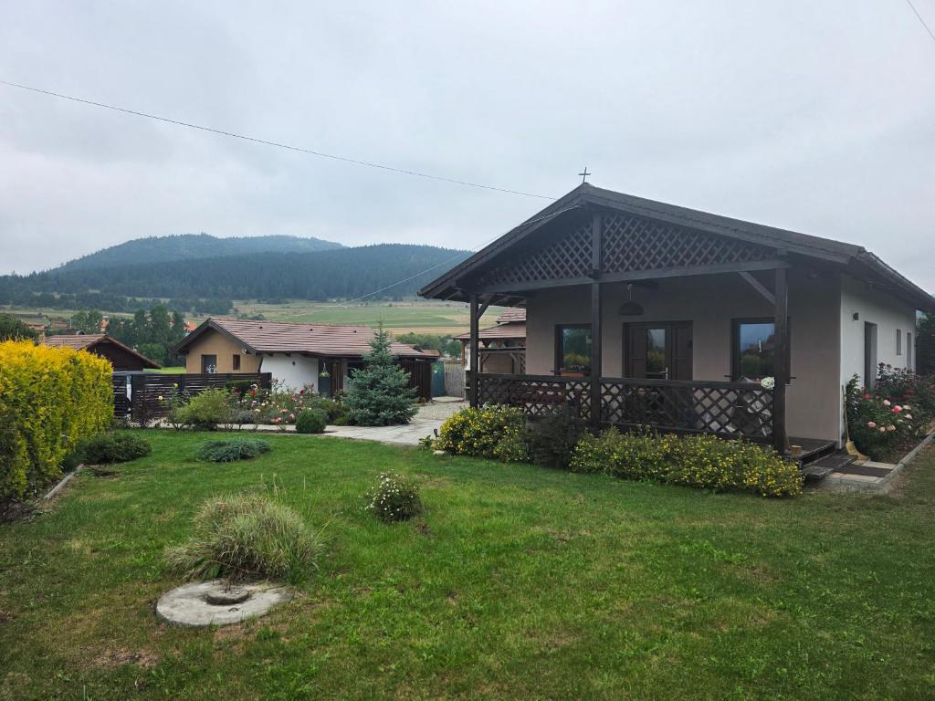 a small house in a yard with a green lawn at Aqua Garden in Miercurea-Ciuc