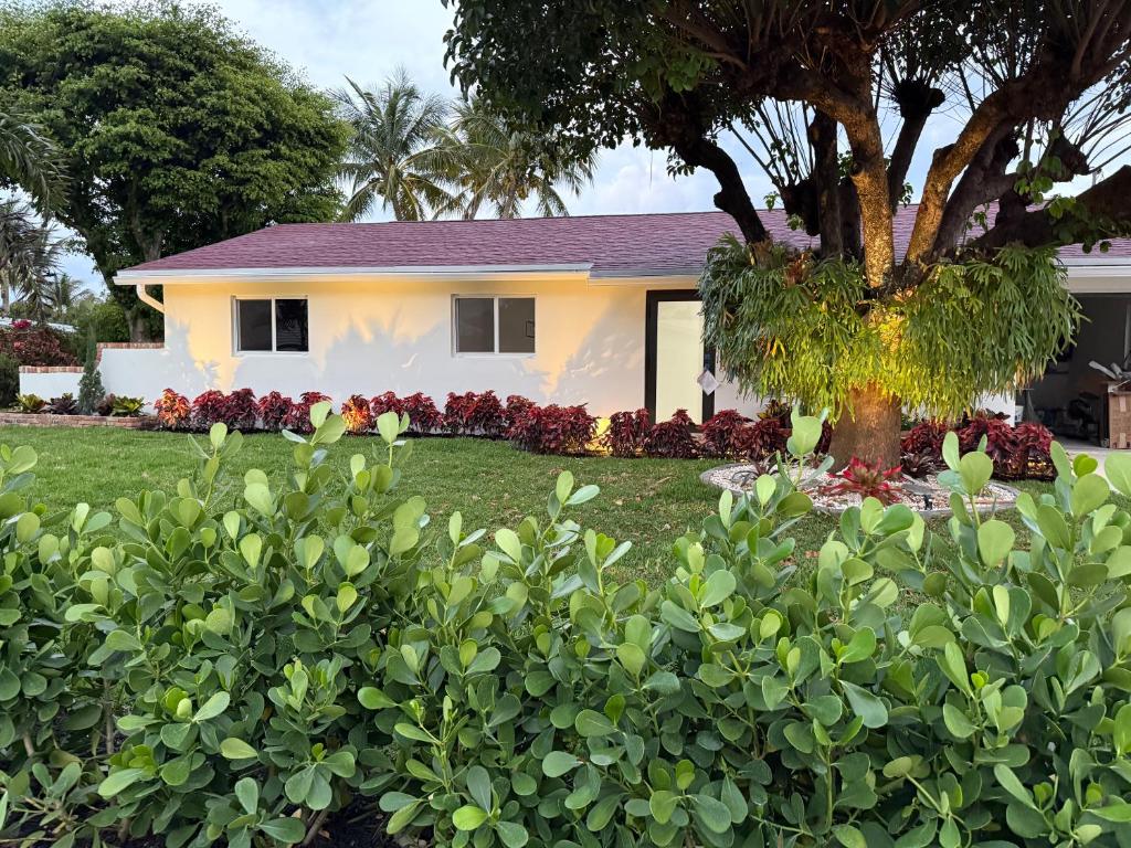 a house with a tree in the yard at Sunset Shores in Lake Clarke Shores