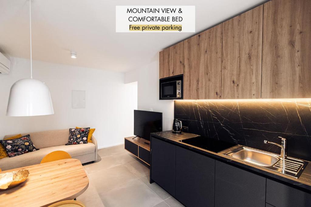 a kitchen and living room with a couch and a sink at APARTMENTS Goldi Superior in Stahovica