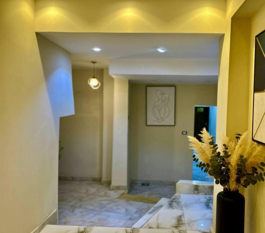 Bedouin Camp pyramids view INN - 18