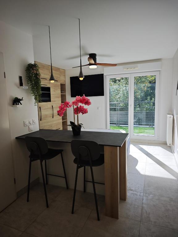 A cozinha ou cozinha compacta de Studio Montévrain