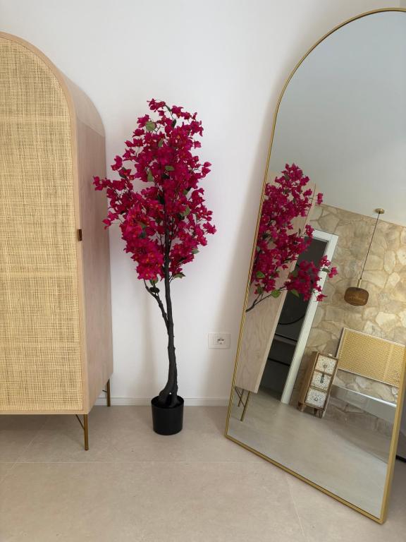 a tree in a vase next to a mirror at Llar Mediterrània in Alghero