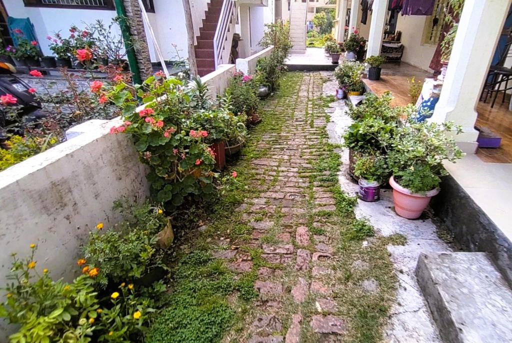 une allée de jardin avec des plantes en pot sur le côté d'un bâtiment dans l'établissement Anand Niwas Homestay Bhowali near Nainital Kainchi Dham and Bhimtal, à Bhowāli