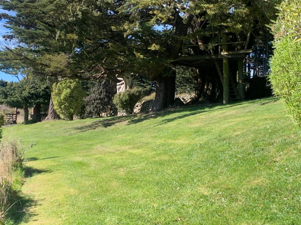 The Haven at Pukehiki - Resim 9