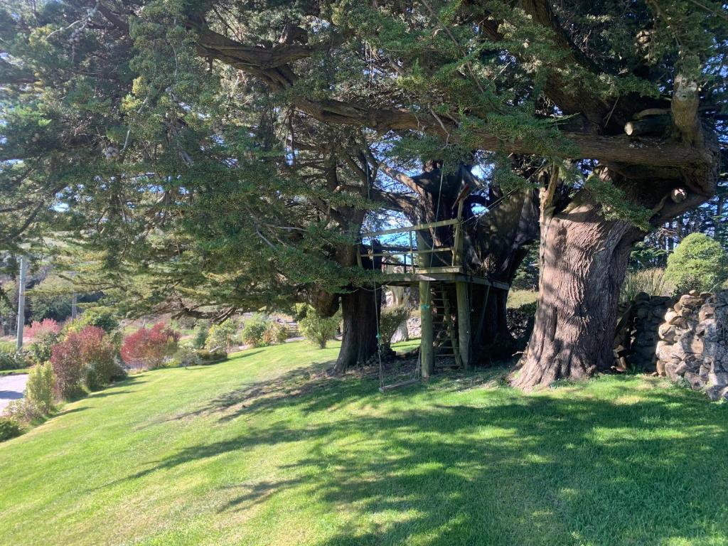 The Haven at Pukehiki - Resim 12