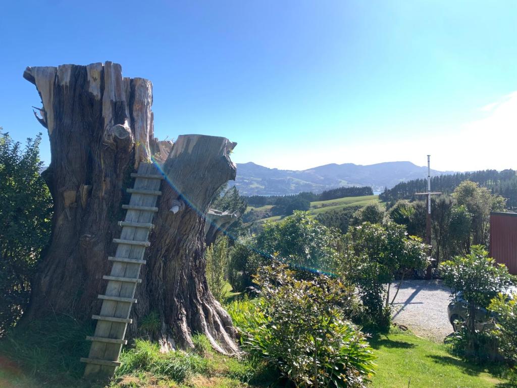 The Haven at Pukehiki - Resim 11