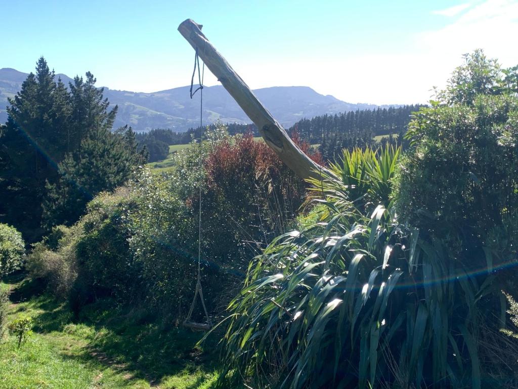 The Haven at Pukehiki - Resim 13