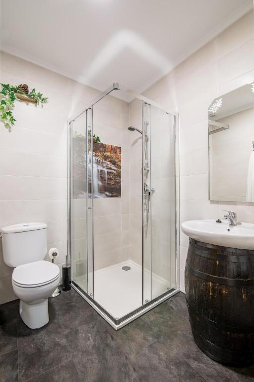 Un baño con ducha, inodoro y lavabo. en Casa Carla, en Palas de Rei 