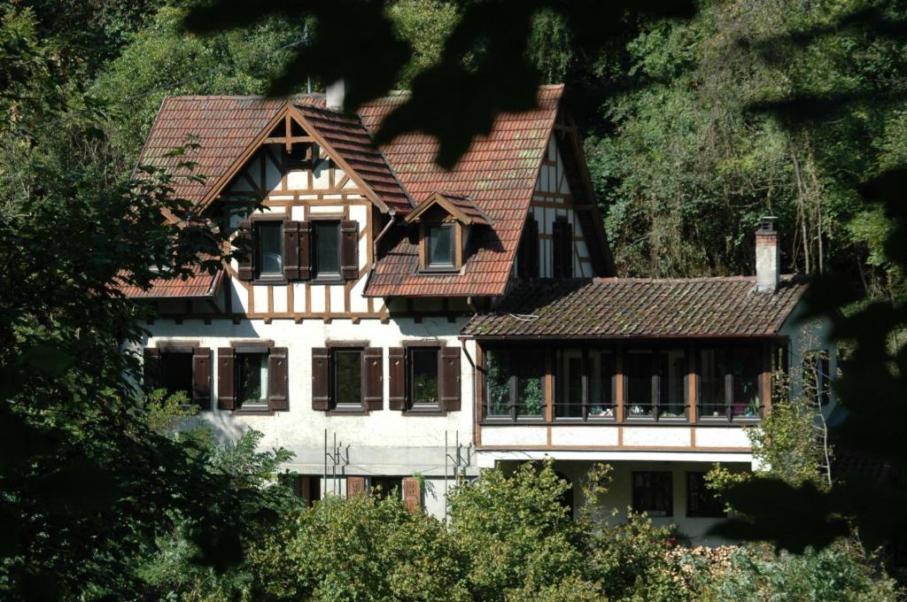 a house with a tiled roof on a mountain at Das Haus am Hang in Schwäbisch Hall
