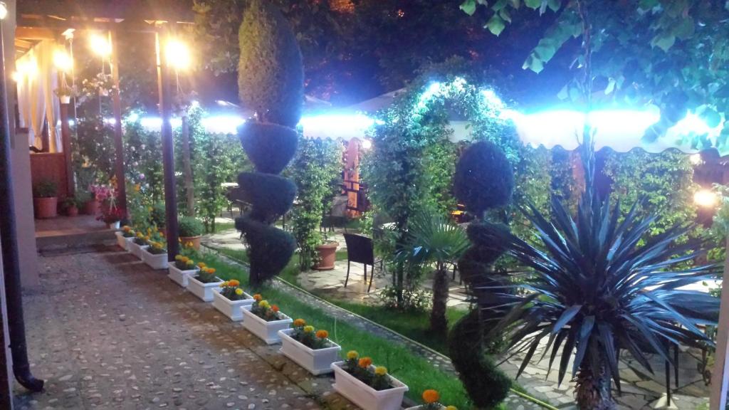 Zahrada ubytování Hotel Vataksi