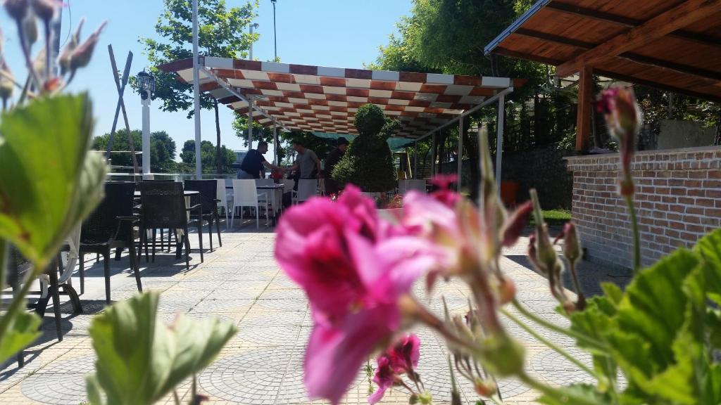 Zahrada ubytování Hotel Vataksi