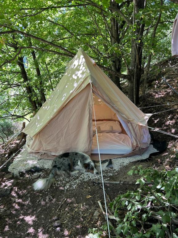 Tipi Nature a l'Ombre des Tilleuls à Vialas en Cévennes