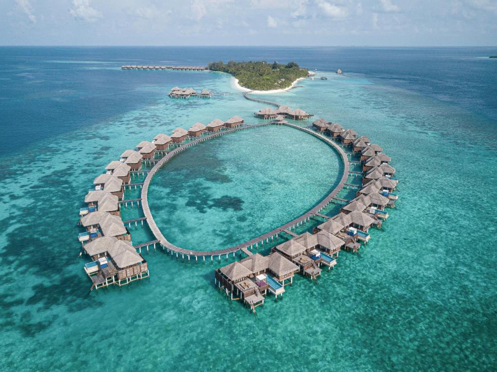 Coco Bodu Hithi - 50 Percent Off Shared Roundtrip Speedboat for Stays until 7th January 2027, Book by 31st January 2026 - 18
