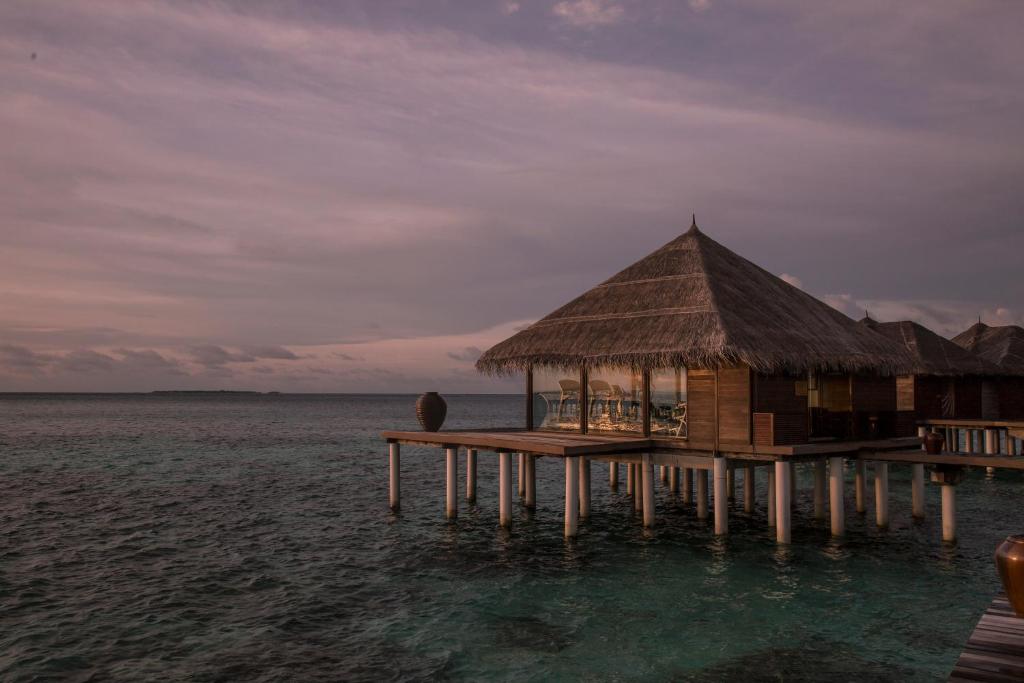 Coco Bodu Hithi - Stay Minimum 5 Nights and Enjoy Complimentary Shared Roundtrip Speedboat Valid for Stays until 30th September 2027, Book by 15th October 2026 - View 31