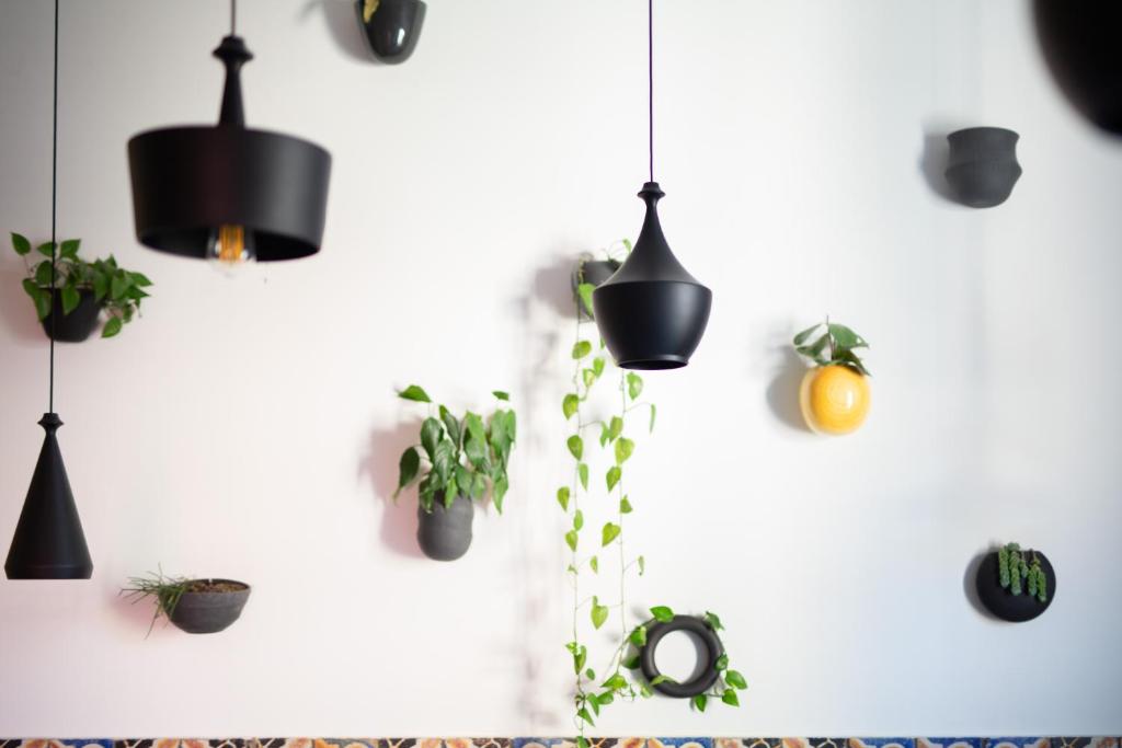 Magma Home - Rooms & Roof - 12