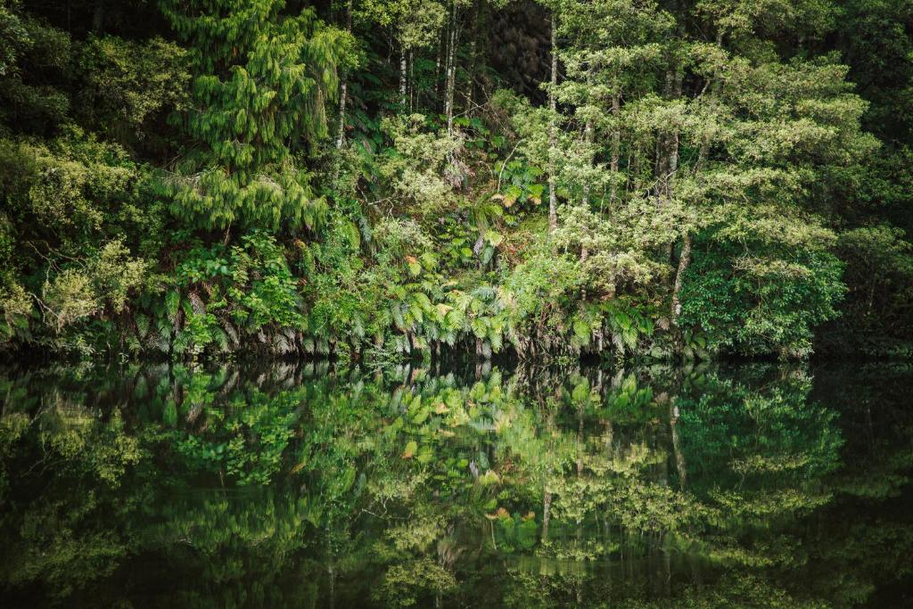 Φυσικό τοπίο κοντά σε αυτό το διαμέρισμα