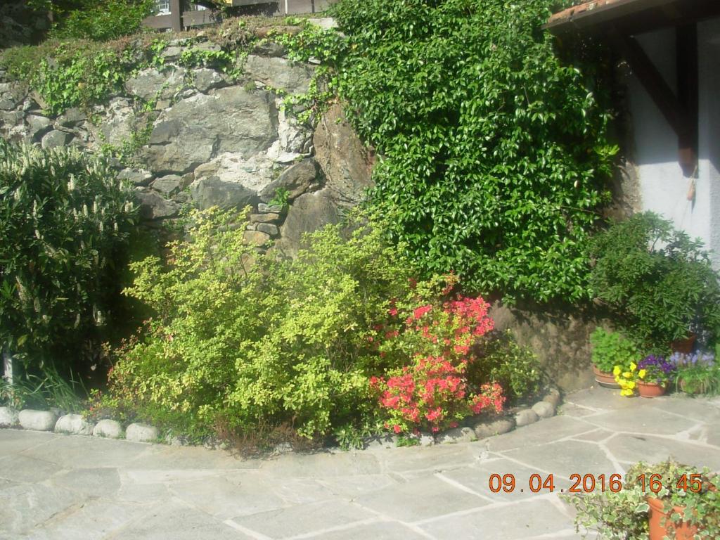 Zahrada ubytování B&B I Pioppi