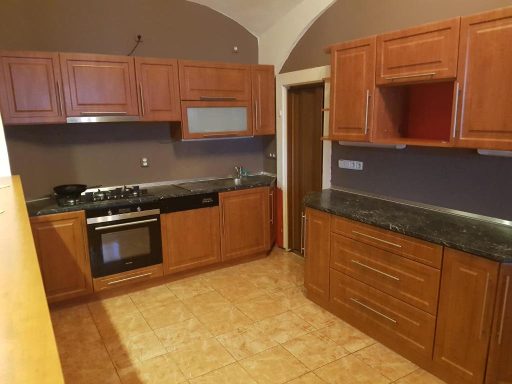 Kuchyň nebo kuchyňský kout v ubytování hotel KORUNA