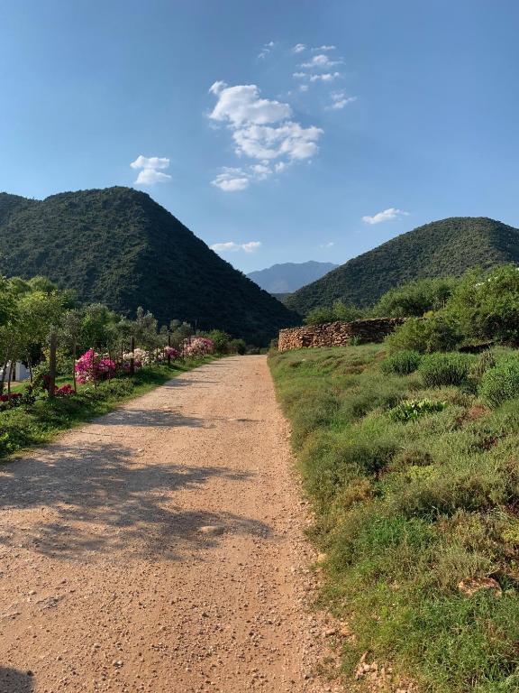 a dirt road with mountains in the background at Klipkraal Cottage in Calitzdorp