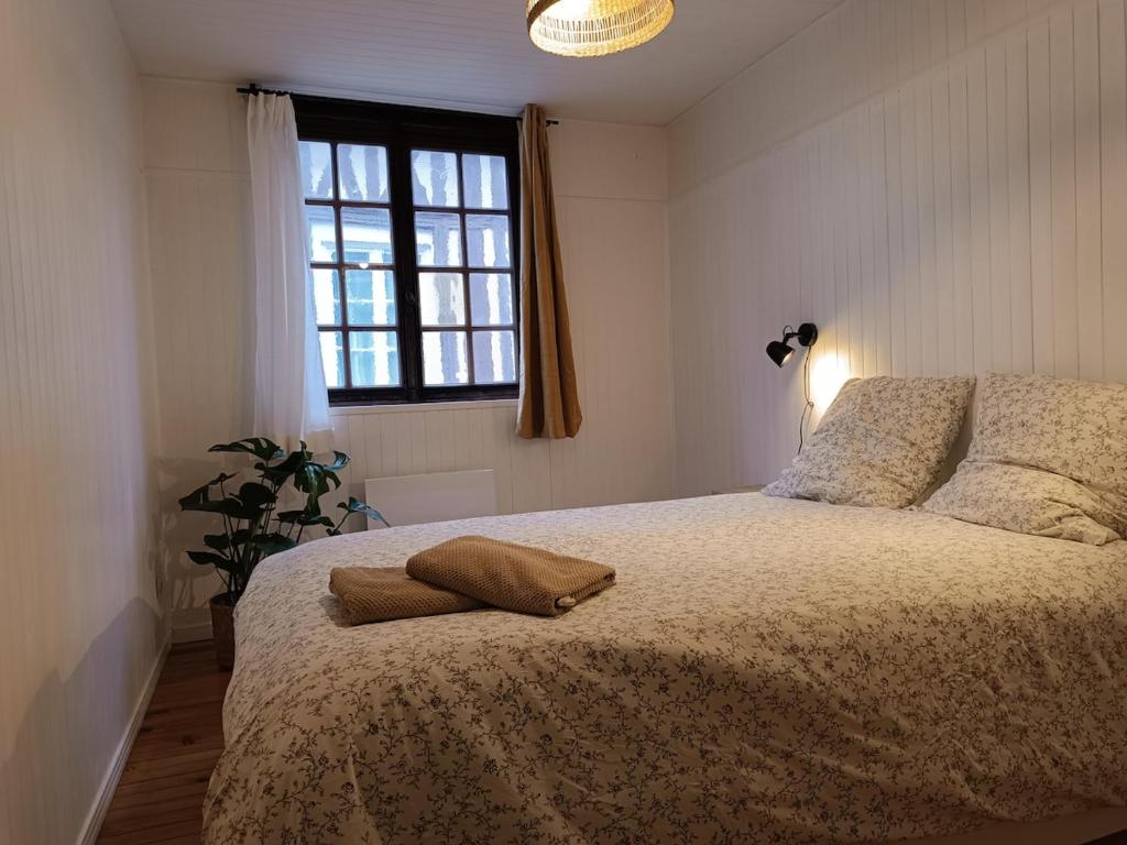 Hypercenter apartment