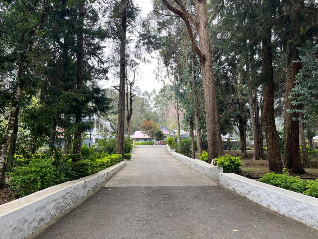 a walking path in a park with trees at GREEN LAKE VIEW RESORTS Heritage in Kodaikānāl
