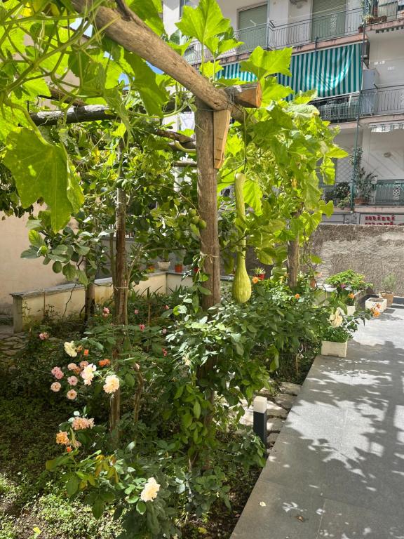 Le Case di Don Andrea - Housity