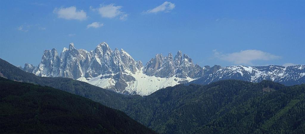 une chaîne de montagnes enneigée avec des arbres au premier plan dans l'établissement Agriturismo Gfaderhof, à Bressanone