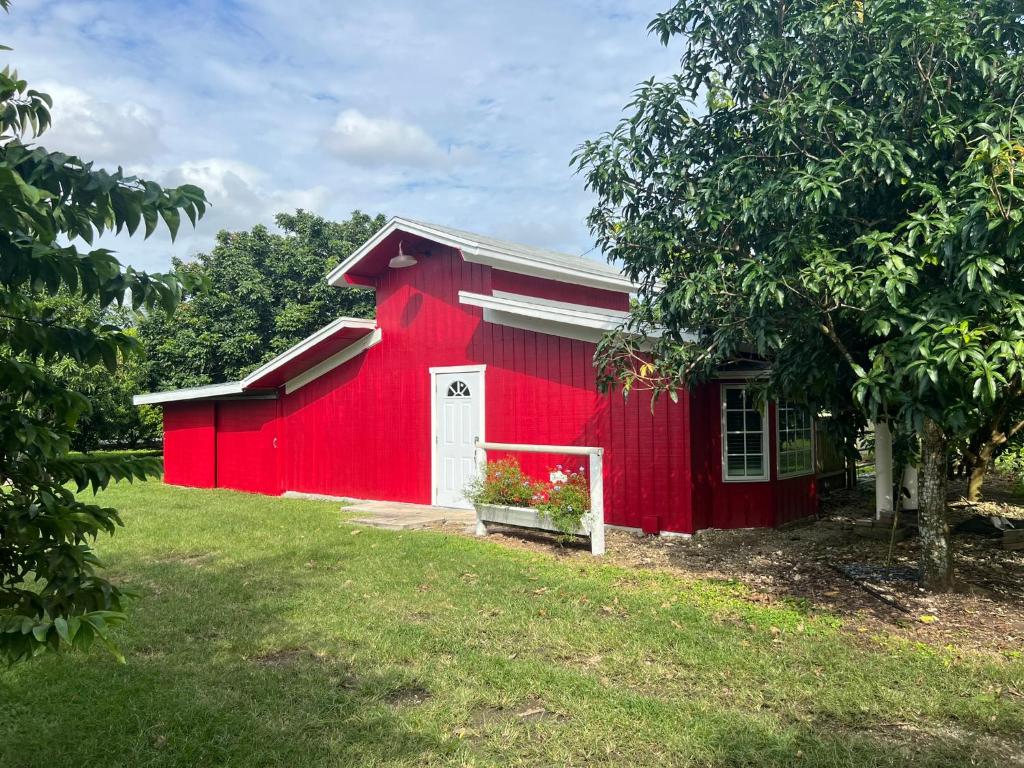 a red barn with a white door in a yard at Tiny Farm Retreat Near Miami, Nature and Animal Experience in Homestead