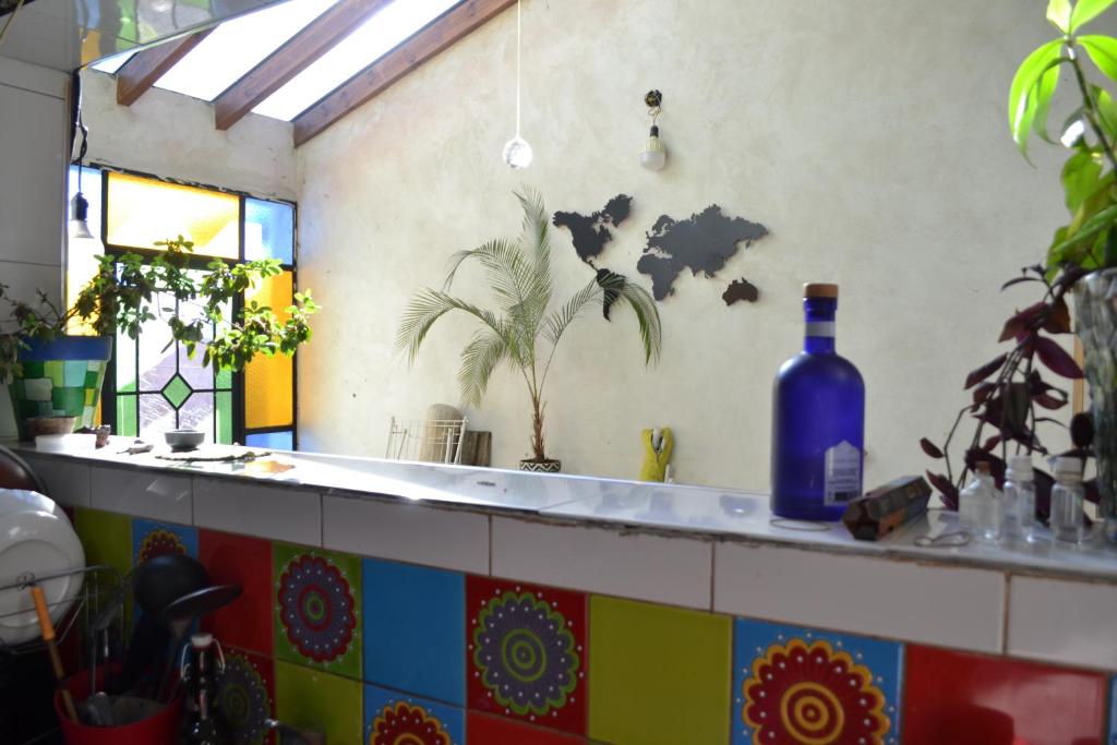 a kitchen counter with a blue bottle on the wall at Casa Hábitat - Habitaciones en casa compartida con baño privado in San Martín de los Andes
