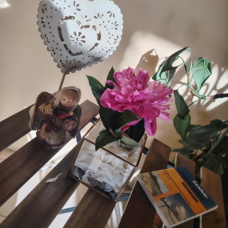 克卢日-纳波卡Cazare Clara Cluj的花瓶和书的桌子