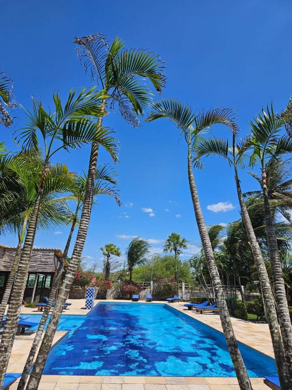 a swimming pool with palm trees around it at Eco Resort Vento Leste in Jericoacoara