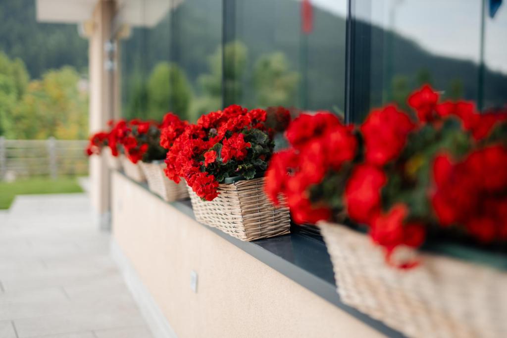 Hotel Monte Bondone
