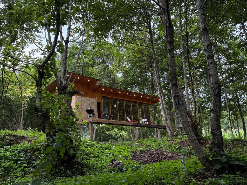 una casa in mezzo al bosco di Okatse Life, Village Kinchkha a Kinchkha-Perdi