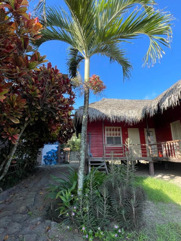 a red house with a palm tree in front of it at La Perla Hostel and Cabins in Las Tunas