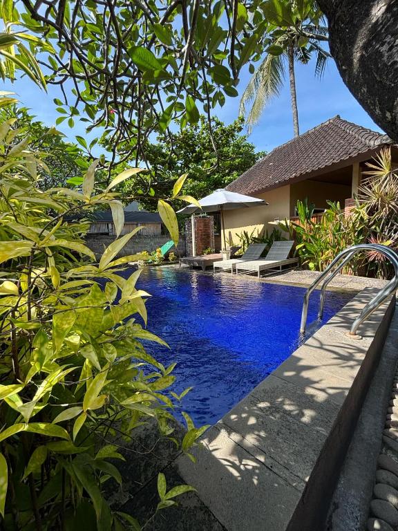 a swimming pool in front of a house at Petit Boo Amed in Amed