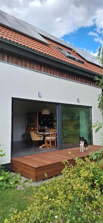 a black and white cat standing on a wooden deck at Pełen Wypas - Dziadówka in Przeworno