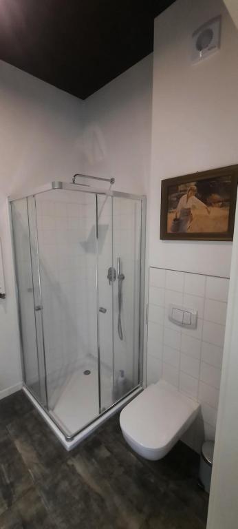 a bathroom with a glass shower with a toilet at Pełen Wypas - Dziadówka in Przeworno