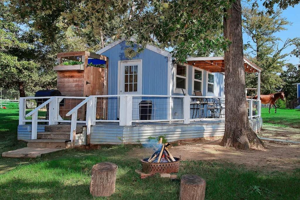 a blue house with a tree and a horse in the background at Pixie's Porch Tiny Home in Centerville