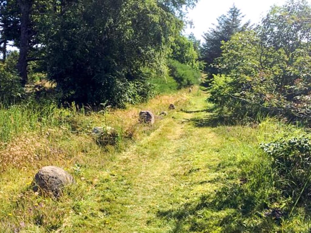 a dirt road in a field with trees and grass at Golf & Spa Retreat - By Traum Ferienwohnungen in Farsø