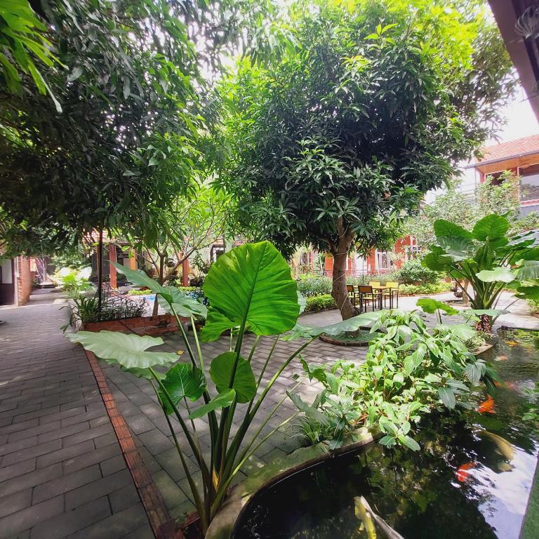 Ninh Binh Mountain Side Homestay & Cafe - 19