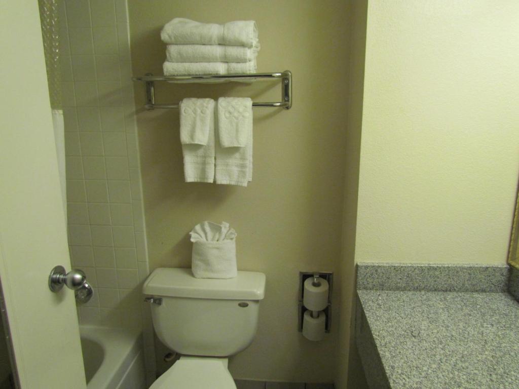 Koupelna v ubytování Romana Hotel - Houston Southwest