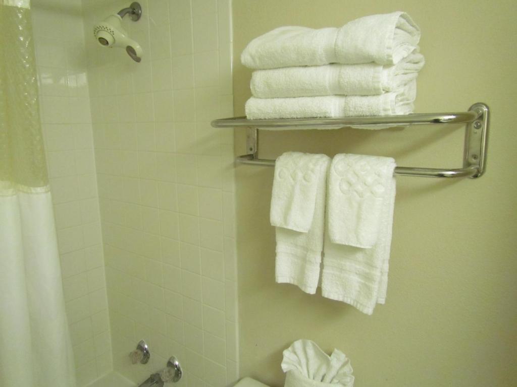 Koupelna v ubytování Romana Hotel - Houston Southwest