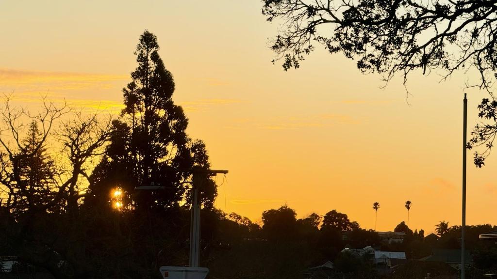 Central Spot Elegant Home Fresh Features - Resim 6